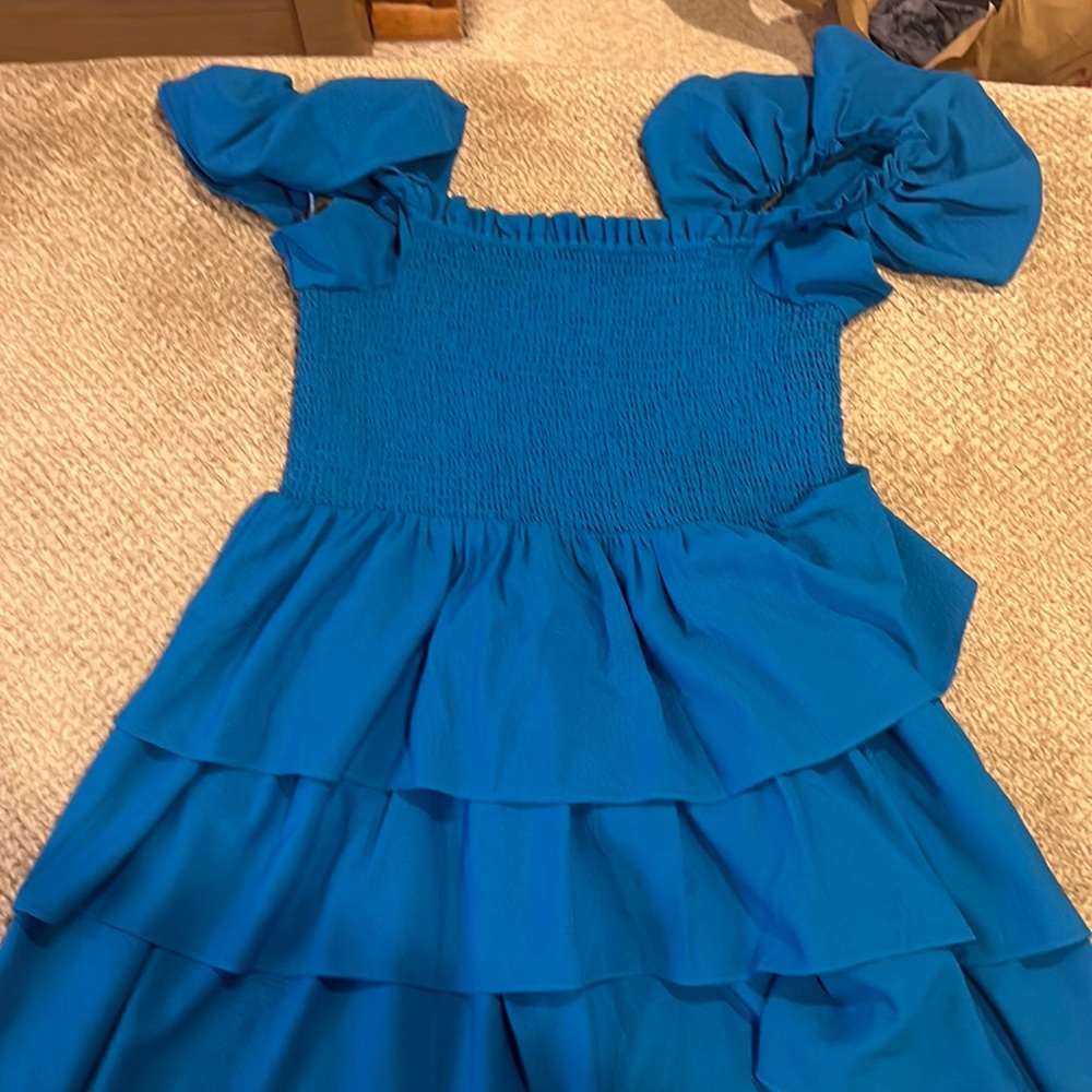 Express fit and flare dress